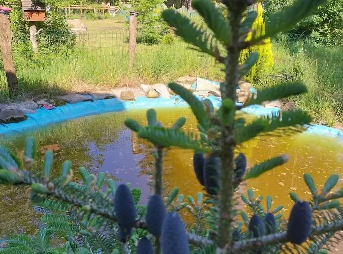 Midgard Κάμπινγκ *